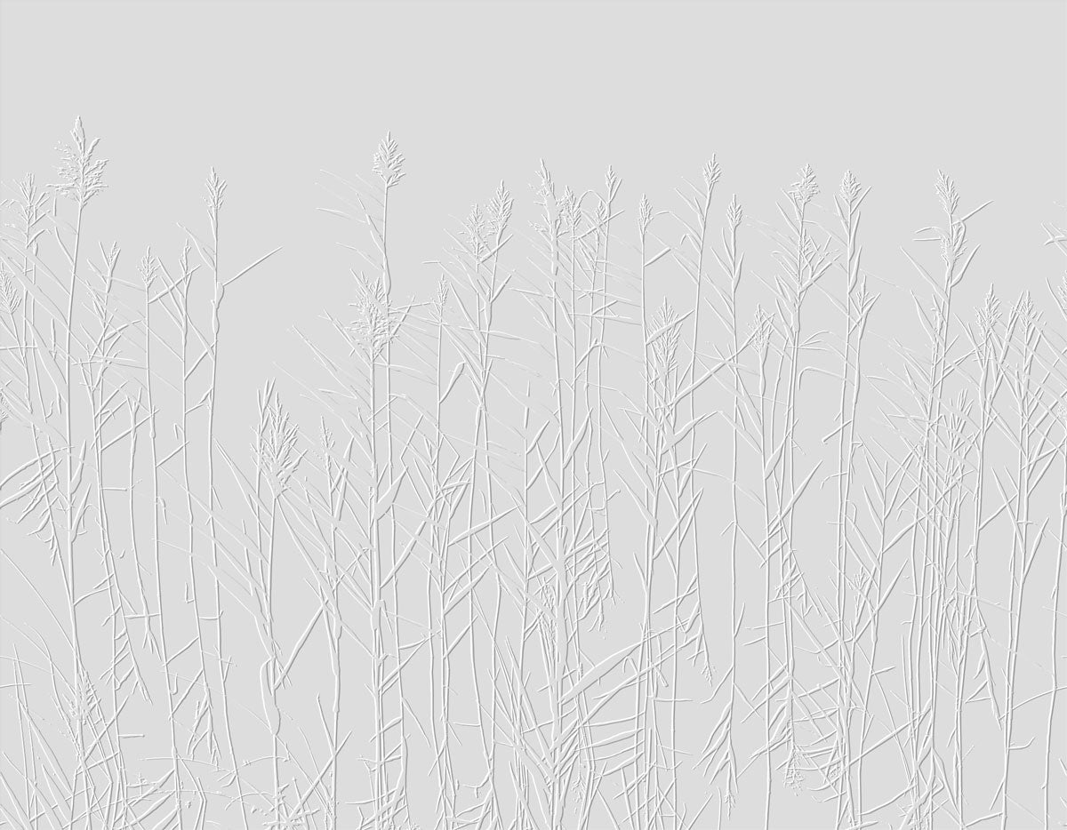 papier peint relief à peindre végétal graminés preview