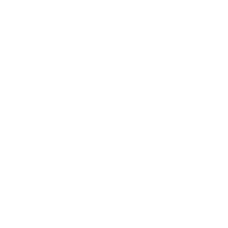 revêtement mural de qualité professionnelle